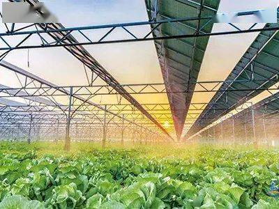 現(xiàn)代種業(yè)、鄉(xiāng)村新型服務(wù)業(yè)&hellip;國家鄉(xiāng)村振興局鼓勵(lì)社會(huì)資本投資這些涉農(nóng)產(chǎn)業(yè)!