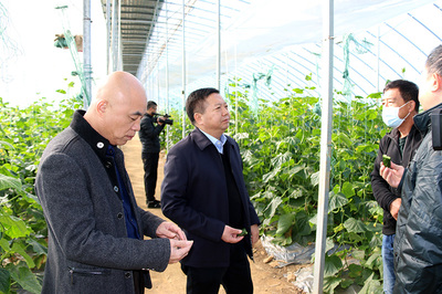 陳遠明深入非公有制企業(yè)走訪調(diào)研