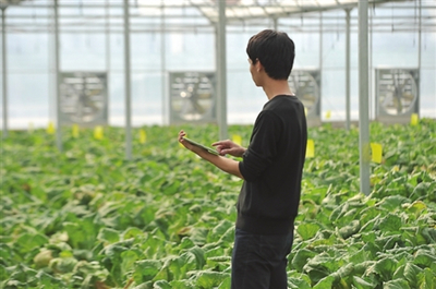 振興鄉(xiāng)村 國家發(fā)改委點贊貴州農(nóng)業(yè)云、廣東農(nóng)村超高速無線局域網(wǎng)