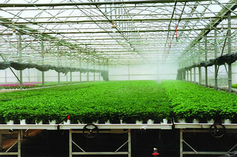 苗床_溫室-大棚-濰坊百斯農業科技服務