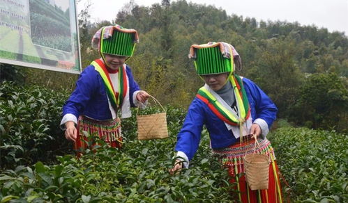 如今的賀州鄉(xiāng)村,已發(fā)生這么大變化,不信你來(lái)看看