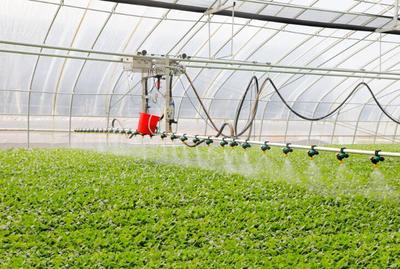 新春走基層丨江蘇濱海:人勤春早農(nóng)事忙,&ldquo;蔬&rdquo;寫(xiě)現(xiàn)代農(nóng)業(yè)新篇章