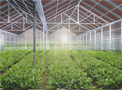 產(chǎn)品與服務(wù)