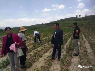 科技助推后山村打贏脫貧攻堅戰