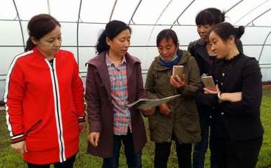 我校農業科技創新服務團隊深入基層服務百姓