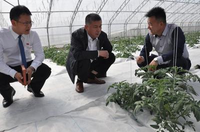 &ldquo;造血&rdquo;扶貧模式 帶動貧困戶產(chǎn)業(yè)脫貧