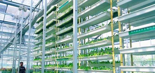 蕭山供銷聯(lián)社農(nóng)資公司:推廣為農(nóng)服務(wù)新模式,打造現(xiàn)代農(nóng)業(yè)新亮點