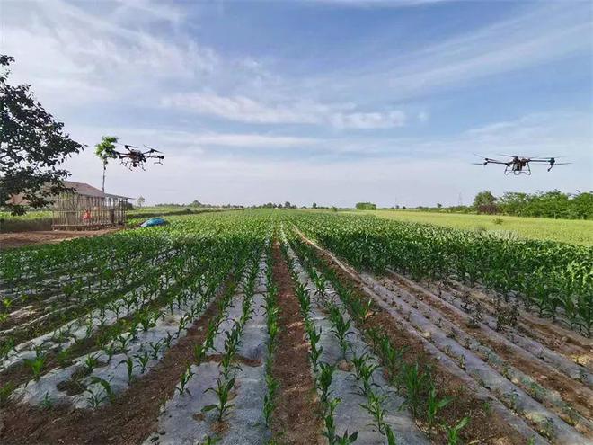 鄉(xiāng)村振興行動(dòng)丨靈臺(tái):發(fā)展農(nóng)業(yè)生產(chǎn)社會(huì)化服務(wù) 培育新時(shí)代&ldquo;田管家&rdquo;