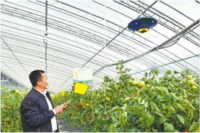 農(nóng)村發(fā)家致富,新農(nóng)業(yè)科技助力鄉(xiāng)村振興