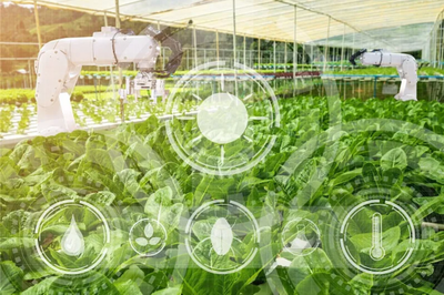 農(nóng)業(yè)科技社會(huì)化服務(wù)體系建設(shè)如何加強(qiáng)?七部門發(fā)文部署