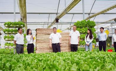 服務(wù)三農(nóng) 助力鄉(xiāng)村振興 河南日?qǐng)?bào)社南陽(yáng)分社黨支部聯(lián)合內(nèi)鄉(xiāng)縣中以高效農(nóng)業(yè)科技開發(fā)黨支部開展主題黨日活動(dòng)