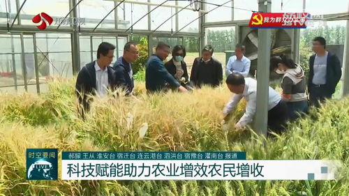 問題不出田 江蘇積極開展農(nóng)業(yè)科技服務(wù)活動