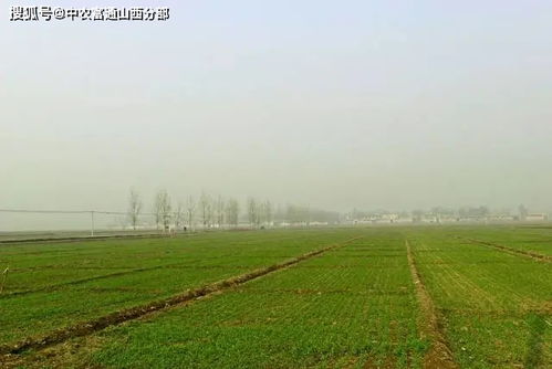 有一種中國美,叫做鄉(xiāng)村