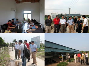 我院科研處與上海市農(nóng)業(yè)科技服務(wù)中心開(kāi)展黨建雙結(jié)對(duì)活動(dòng)，共促農(nóng)業(yè)科技服務(wù)發(fā)展